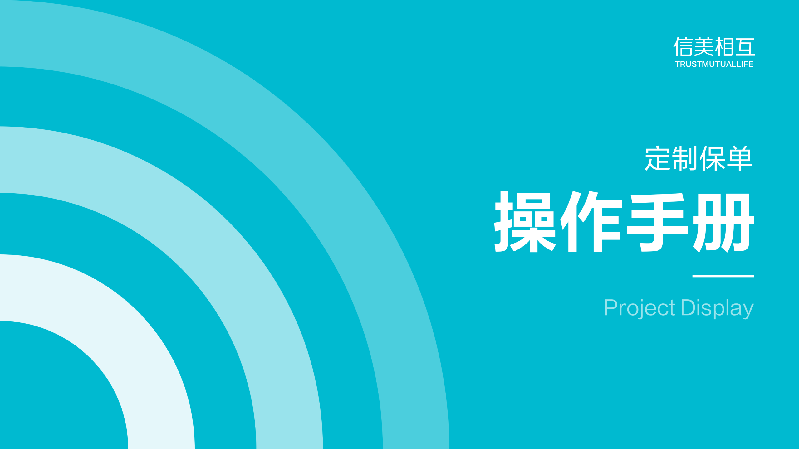 定制保单操作手册 第1页