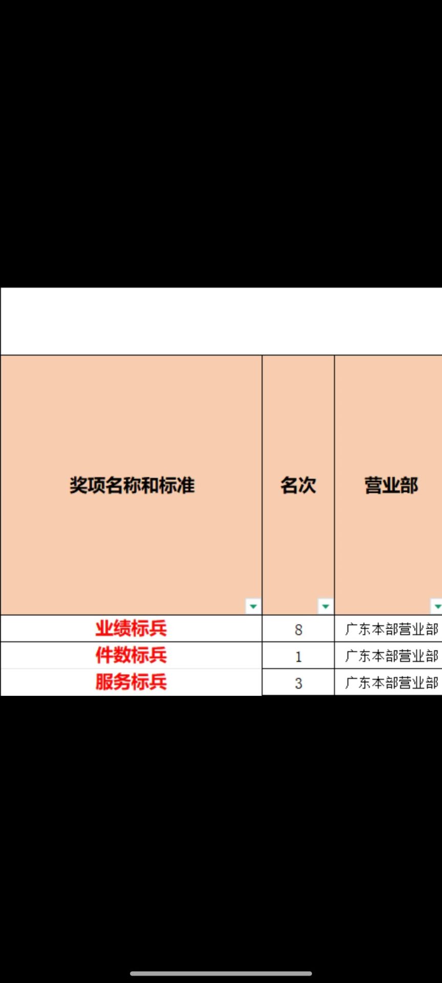 业绩标兵、件数标兵和服务标兵称号记录